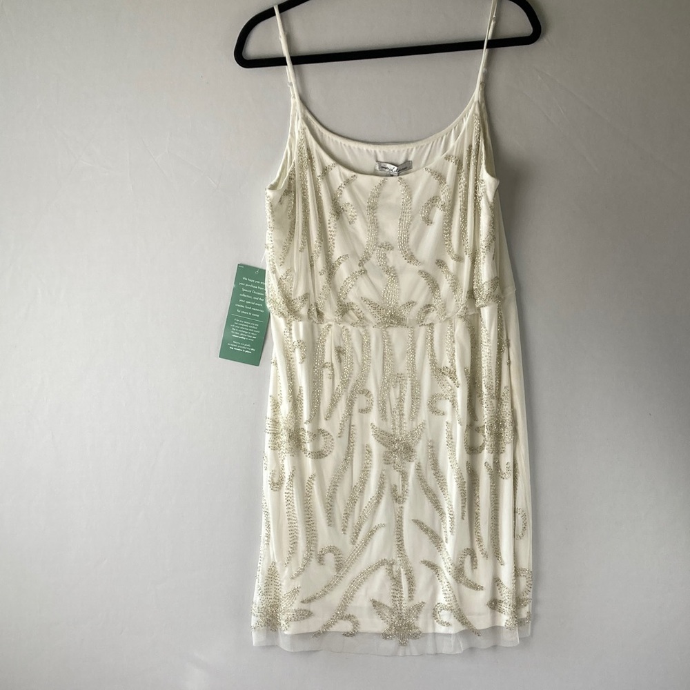 Simply Liliana Ivory and Silver beaded dress